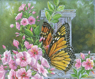 Animated Butterfly