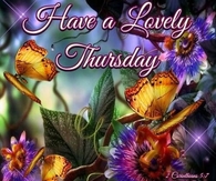 Have a lovely Thursday