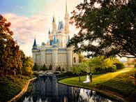 A fairy tale wedding
