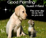 Good Morning