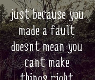 Just Because You Made A Fault