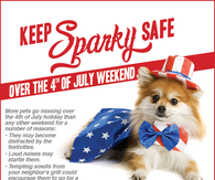 Keep your dog safe