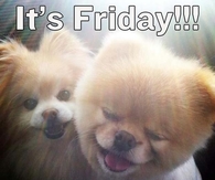 It's Friday
