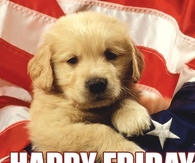 Happy Friday