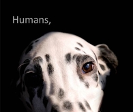 dog - humans, please be kind