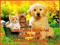 a real friend