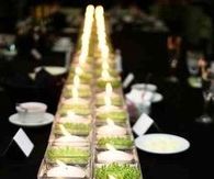 Row of white candles