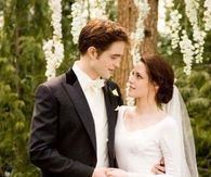 Twilight wedding