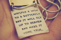Whisper a wish to a butterfly
