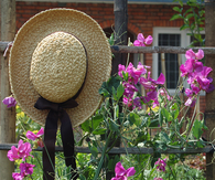 Garden Hat