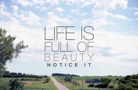 Life is full of beauty