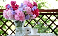 Fresh Cut Flowers