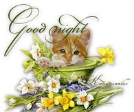 Good Night