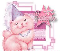 Happy Birthday Princess