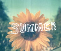 Summer Sunflower