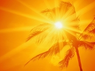 Summer Sun