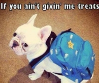 Going to Grammas