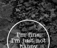 Im fine, im just not happy