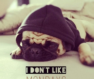 I dont like mondays