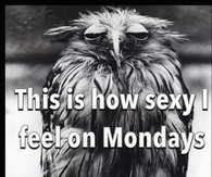 How sexy I feel on Mondays