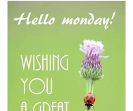 Hello Monday