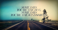 The bug, the windshield