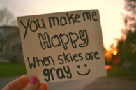 You make me happy when skies are  gray