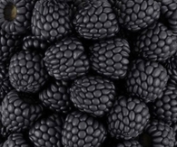 Black berries