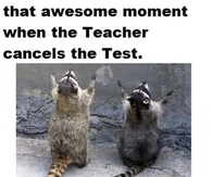 Awesome moments for students