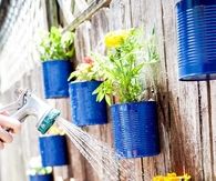 Tin Can Garden