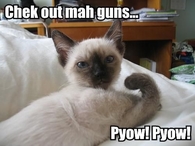 Check out mah guns