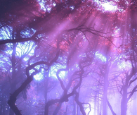 Purple light