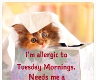 Allergic to Tuesday Mornings