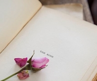 Words