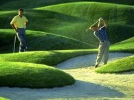 The Golf Swing is a thing of art