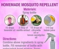 Homemade mosquito repellent