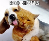 It's complicated
