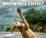 Who wants coffee