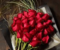 Rose gif
