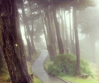 Rainy pathway