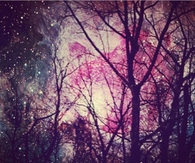 Pink Sky