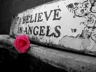 Wings of Angels