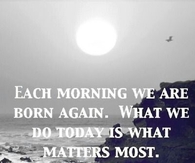 Morning Glory