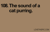 108-cat