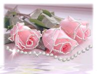 Pink Roses & Pearls