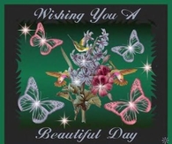 wishing you a beautiful day