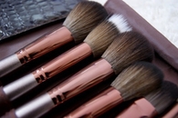 Makeup brushes