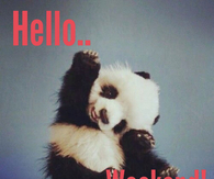Hello Weekend