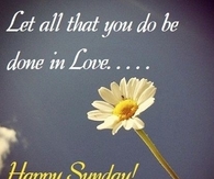 Happy Sunday