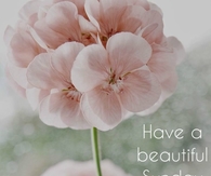 Have a beautiful Sunday